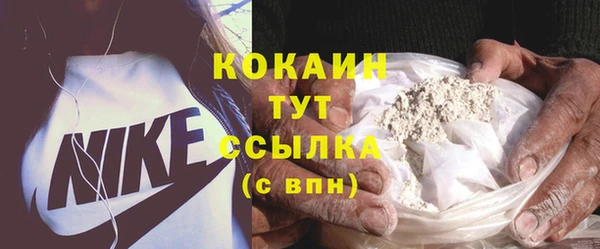 шишки Армянск