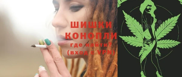шишки Армянск