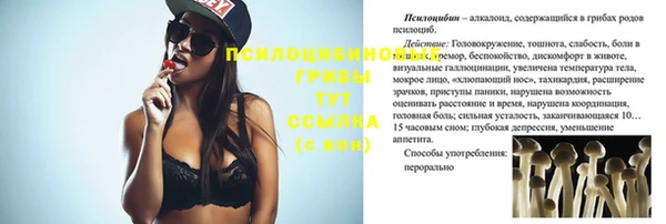 шишки Армянск