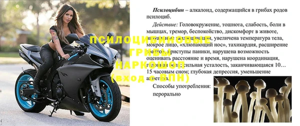 дурь Аркадак