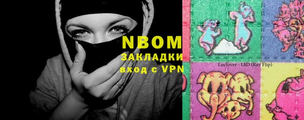 шишки Армянск