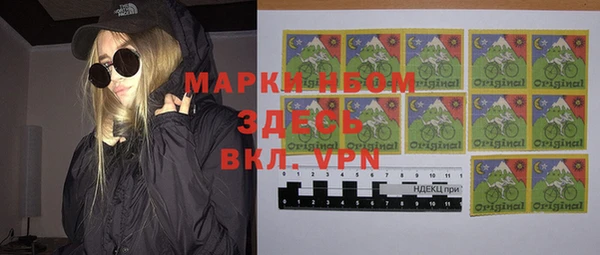 шишки Армянск