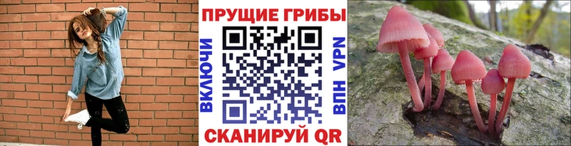 даркнет сайт Армянск Галлюциногенные грибы мухоморы